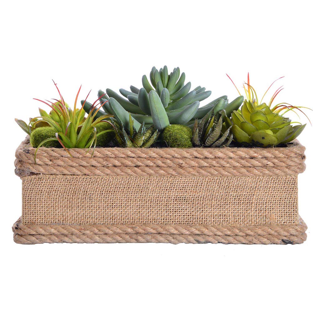 6.5 Inch Succulents In Hemp Rope Container