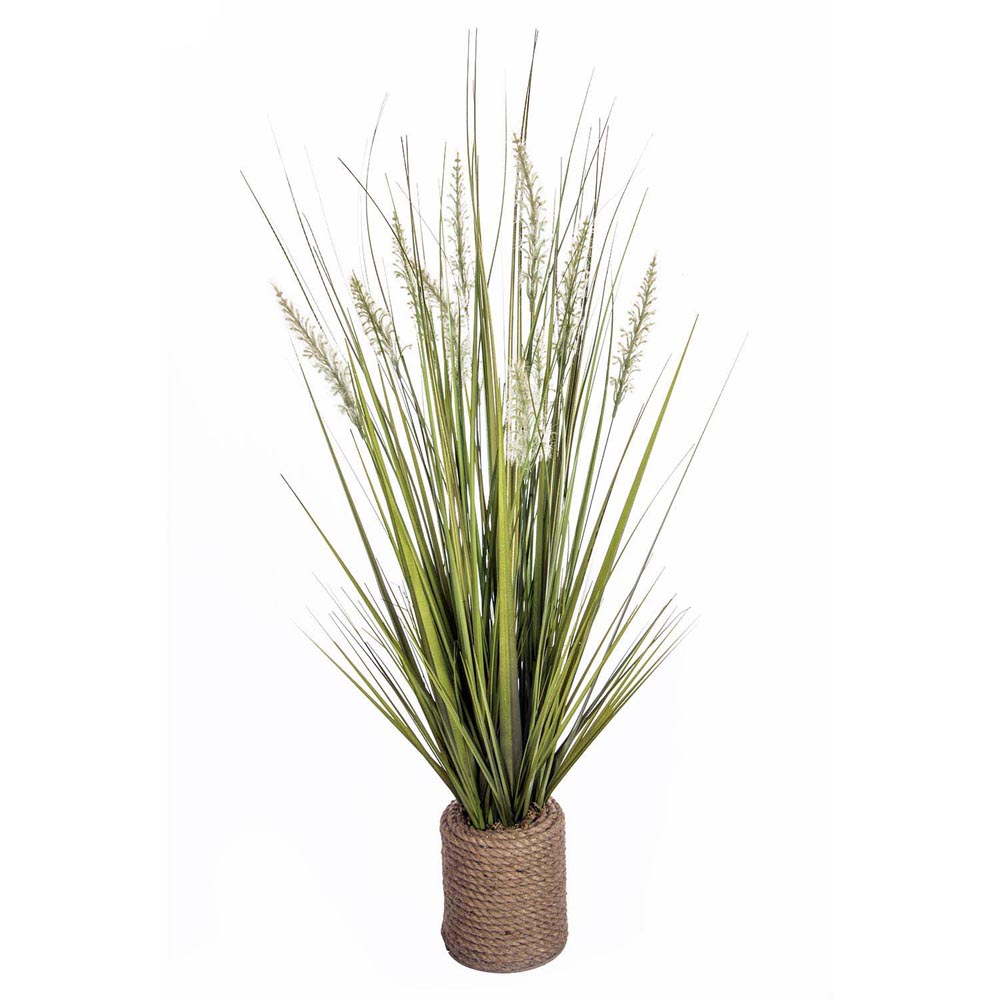 40 Inch Onion Grass In Rope Vase