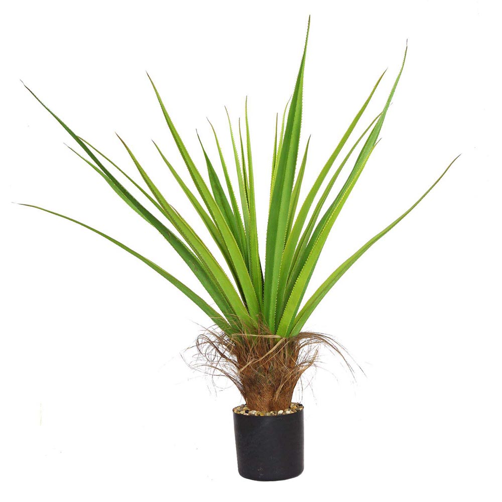 44 inch Agave Plant with Cocoa Skin