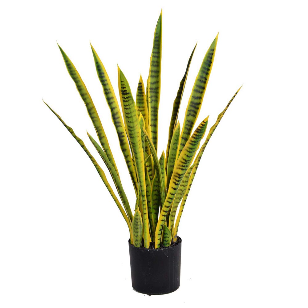 Artificial Snake Plant