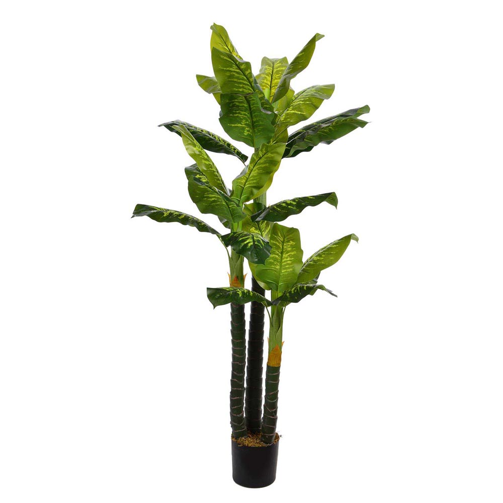 Banana Palm Tree with Real Touch Leaves