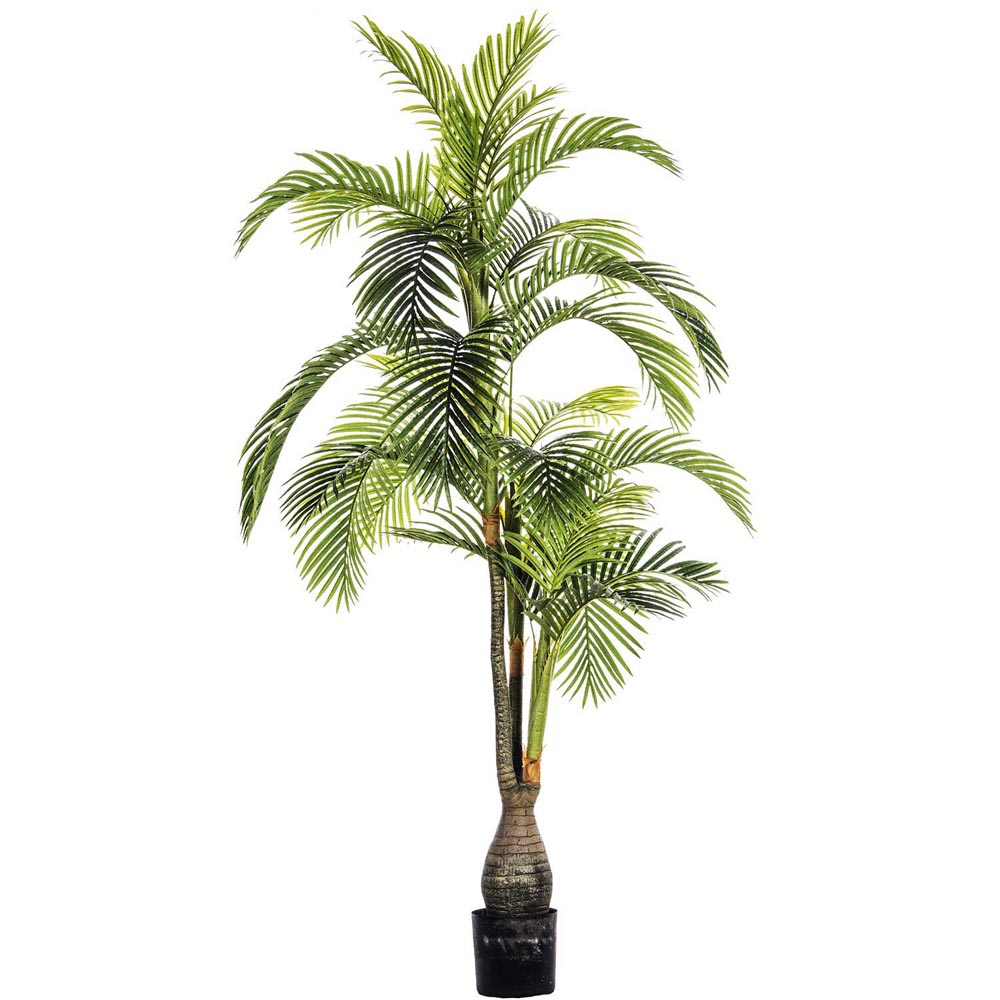 Indoor/Outdoor Elephant Ears: Limited UV Protection