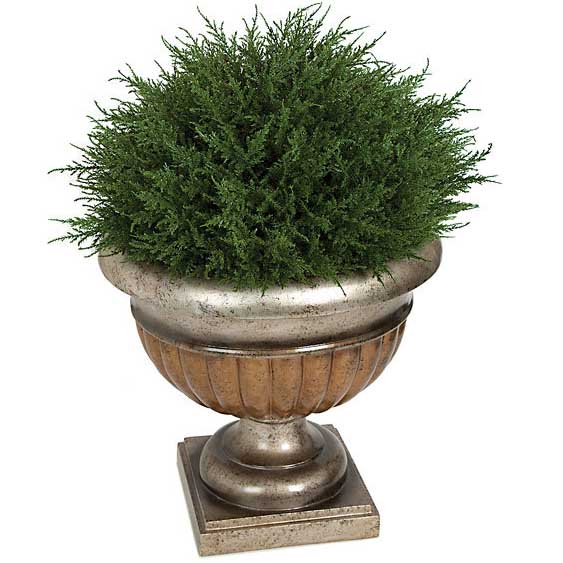 14 x 21 inch Plastic Cypress Half Ball Topiary Limited UV AUV130200