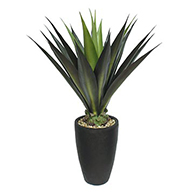 Artificial Indoor Aloe Plants