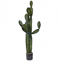 Artificial Cactus