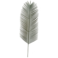 Outdoor Branches