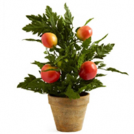 Artificial Fake Fruit & Vegetables
