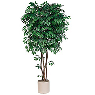 Fake Ficus Trees