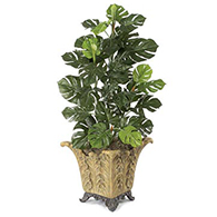 Fake Philodendron Plants