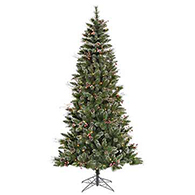 Pine Trees