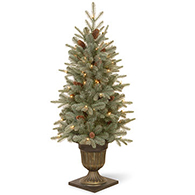 Potted Trees