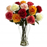 Rose Arrangements