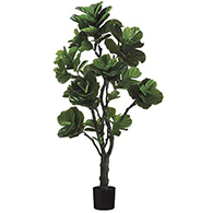 Fake Rubber Plants