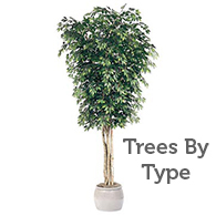 Fake Silk Trees