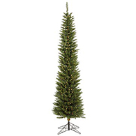 Slim & Pencil Trees