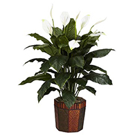 Artificial Spathiphyllum Plants