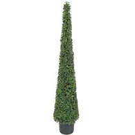 Tea Leaf Topiary