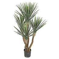 Artificial Yucca Plants