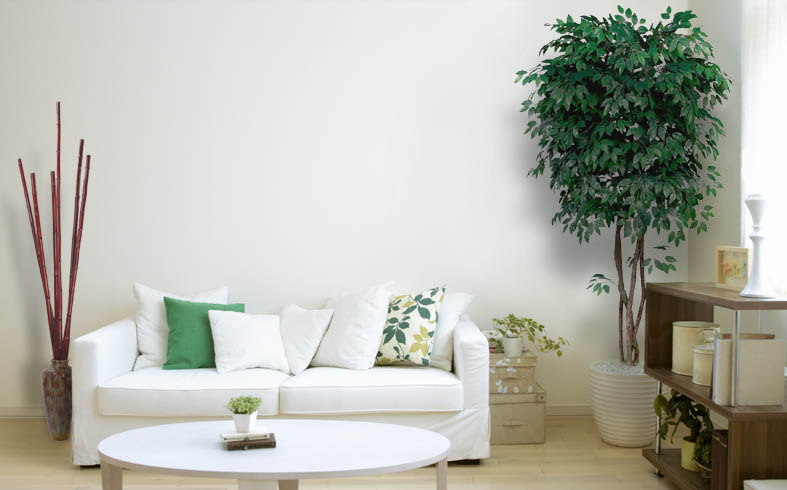 artificial plants and trees | artificial trees | silk plants