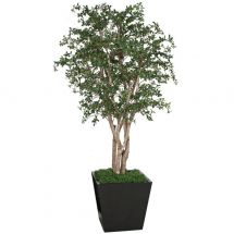 Fire Retardant Trees